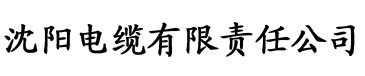 青青青青青操电缆厂logo